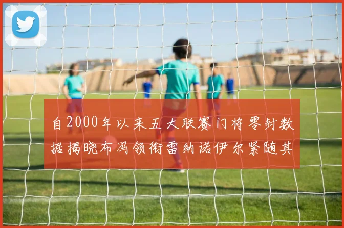 自2000年以来五大联赛门将零封数据揭晓布冯领衔雷纳诺伊尔紧随其后