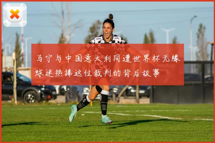 马宁与中国意大利同遭世界杯无缘球迷热捧这位裁判的背后故事